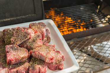 Gegrilltes T-Bone-Steak mit Salz, Nahaufnahme - ABAF000835