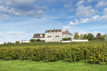 Germany, Baden Wuerttemberg, View of Schloss Kirchberg castle with vineyard - EL000024