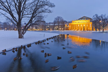 Germany, Baden Wuerttemberg, Stuttgart, Ducks in Eckensee pond and Opera house in background - WDF001743