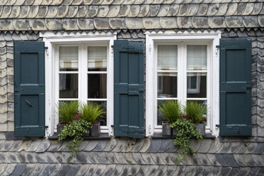 Deutschland, Nordrhein-Westfalen, Essen Kettwig,Topfpflanze auf der Fensterbank - ELF000047