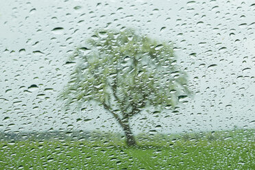 Raindrops on windowpane with apple tree in background - ELF000058