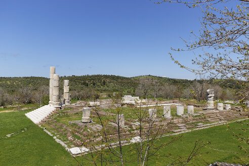 Türkei, Ansicht des Apollo-Smintheus-Tempels - SIE003645