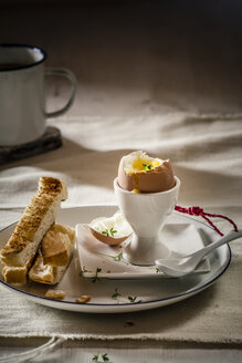 Egg with toasted white bread on plate and coffee mug, close up - SBDF000073