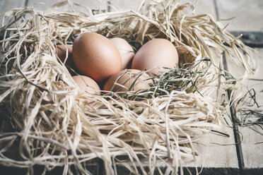 Brown eggs in straw nest, close up - SBDF000065