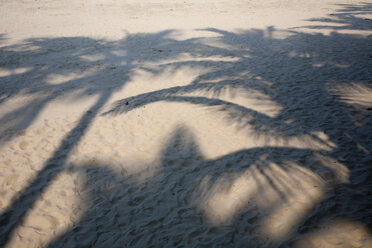 Brasilien, Schatten von Palmen am Strand - NDF000398