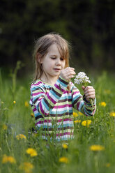 Germany, Baden Wuerttemberg, Girl sitting in meadow - SLF000087