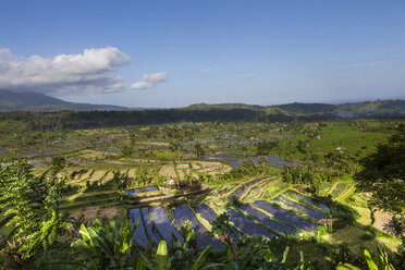 Indonesia, View of rice fields at mount Abang - AMF000009