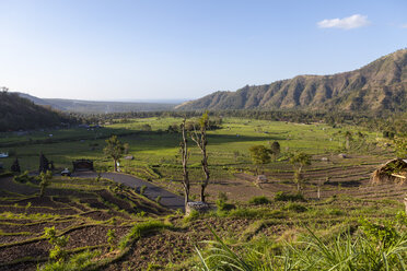 Indonesia, View of rice fields at mount Abang - AMF000080