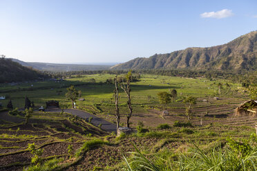 Indonesien, Blick auf Reisfelder am Berg Abang - AMF000080