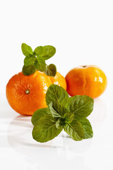 Mentha Piperita mit Orangen auf weißem Hintergrund, Nahaufnahme - CSF019130