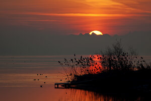 Deutschland, Baden Württemberg, Sonnenaufgang über dem Bodensee - BSTF000058