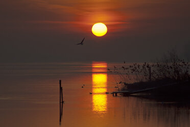 Deutschland, Baden Württemberg, Sonnenaufgang über dem Bodensee - BSTF000057