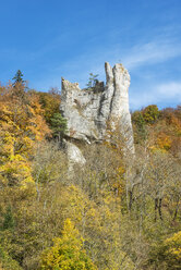 Deutschland, Baden Württemberg, Ansicht der Burg Neugutenstein - ELF000114