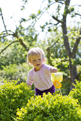 Germany, Kiel, Girl watering plant - JFEF000109