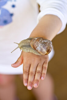 Deutschland, Kiel, Burgunderschnecke an der Hand eines Mädchens - JFEF000118