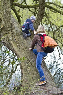 Deutschland, Kiel, Mutter und Sohn klettern auf Baum - JFEF000129