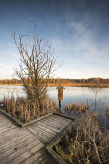 Deutschland, Baden Württemberg, Blick auf das Naturschutzgebiet Schwenninger Moos - ELF000095