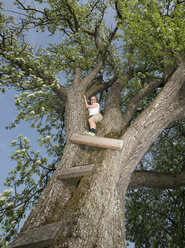 Österreich, Mädchen krabbelt auf Baum - CWF000051