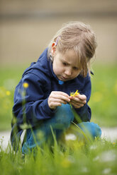 Germany, Baden Wuerttemberg, Girl examining flower, close up - SLF000130