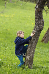 Deutschland, Baden Württemberg, Mädchen klettert auf Baum - SLF000135