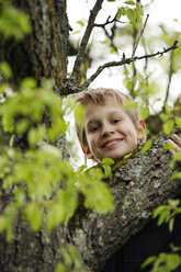 Deutschland, Baden Württemberg, Porträt eines lächelnden Jungen, der auf einen Baum klettert - SLF000137