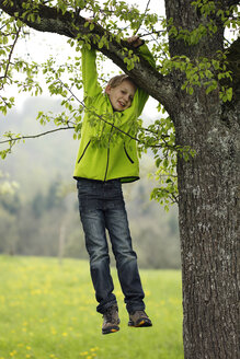 Deutschland, Baden Württemberg, Porträt eines lächelnden, an einem Baum hängenden Jungen - SLF000138