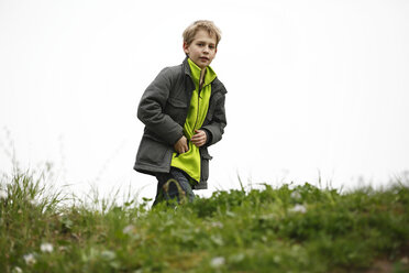 Deutschland, Baden Württemberg, Porträt eines Jungen auf einer Wiese - SLF000141