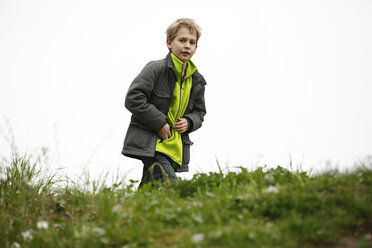 Germany, Baden Wuerttemberg, Portrait of boy walking in meadow - SLF000141
