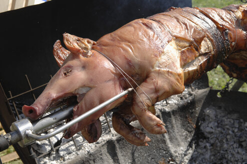 Spanferkel auf dem Grill, Nahaufnahme - ASF004947