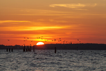 Germany, Schleswig Holstein, Sunset at Baltic sea - SR000160