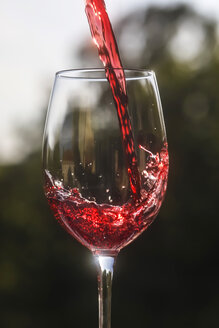 Deutschland, Rotwein im Glas, Nahaufnahme - JT000394