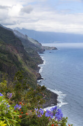 Portugal, Steilküste von Madeira am Arco de Sao Jorge - AMF000155