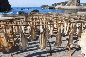 Portugal, Stockfisch zum Trocknen in Camara de Lobos bei Funchal - AMF000162