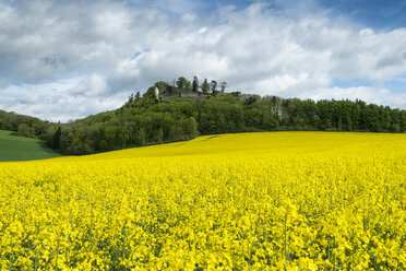 Deutschland, Baden Württemberg, Blick auf gelbes Rapsfeld - EL000148