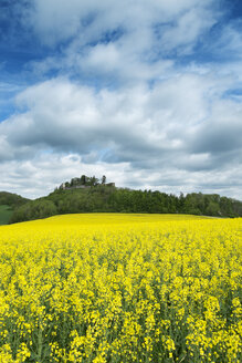 Germany, Baden Wuerttemberg, View of Yellow rape field - EL000145