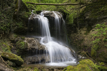 Germany, Baden Wuerttemberg, Muehlbach, Waterfall - ELF000152