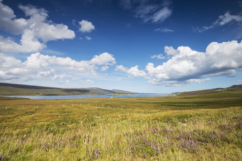 Vereinigtes Königreich, Schottland, Blick auf Loch Hope bei Inverhope - ELF000168