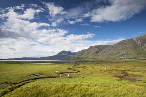 Vereinigtes Königreich, Schottland, Blick auf eine sumpfige Landschaft am Ufer des Lake Torridon - ELF000182