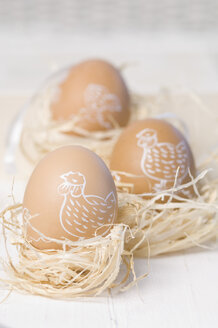 Painted easter egg in straw nest, close up - ASF004965