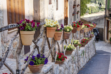 Spanien, Mallorca, Topfpflanzen als Dekoration an Häusern in der Altstadt von Valldemossa - AM000279