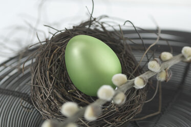 Easter egg in nest with willow twig - AS004980