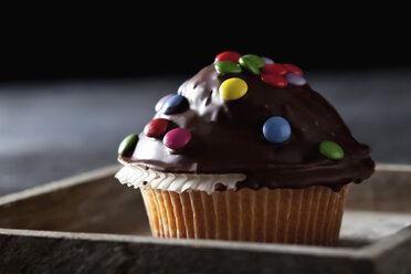 Chocolate muffin on wooden tray, close up - CSF019400