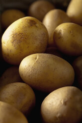 Potatoes, close up - CSF019397