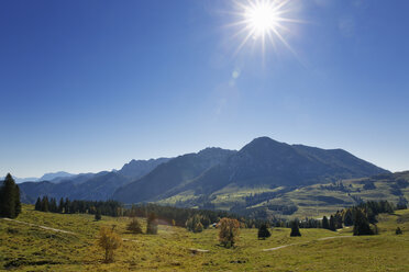 Austria, Salzburg, View of Postalm alpine pasture - SIEF003866