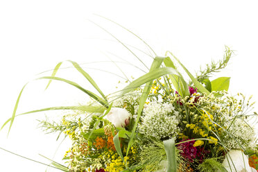 Blumenstrauß aus Feldblumen auf weißem Hintergrund - MAEF006823