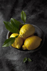 Schale mit Zitronen und Blättern, Nahaufnahme - CSF019379