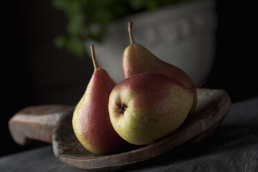 Pears on wooden spoon, close up - CSF019401