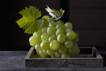 Weintrauben auf einem Tablett, Nahaufnahme - CSF019370