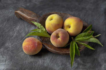 Peaches and leaves on wooden spoon, close up - CSF019361