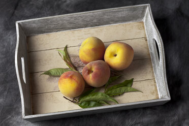 Pfirsiche mit Blättern auf Tablett, Nahaufnahme - CSF019360
